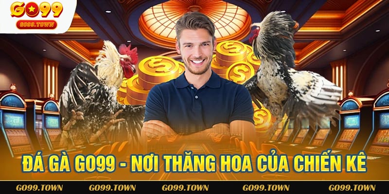 Đôi nét về đá gà Go99 