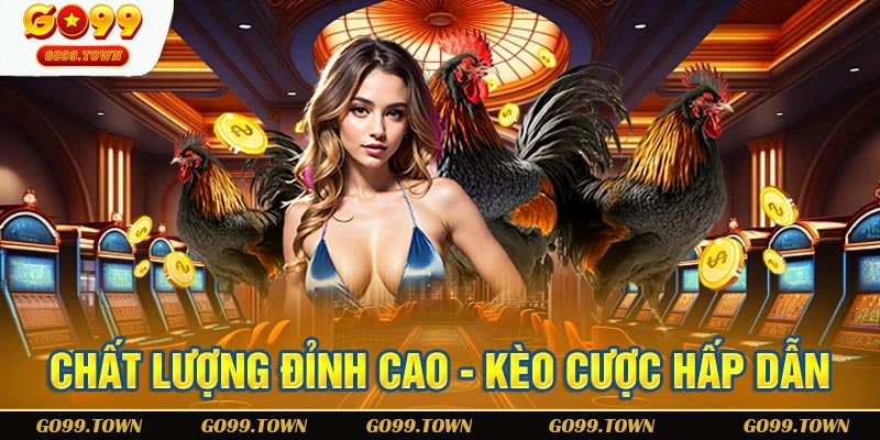 Bí kíp đá gà Go99 người chơi cần biết